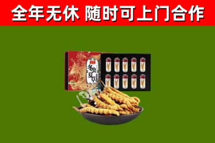 承德回收冬虫夏草价格